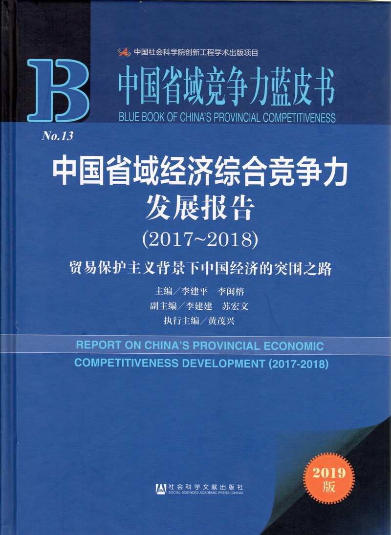 c肏小屄中国省域经济综合竞争力发展报告（2017-2018）