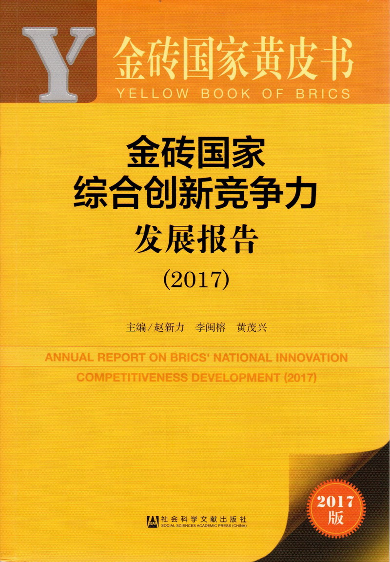 大鸡巴日逼視頻金砖国家综合创新竞争力发展报告（2017）